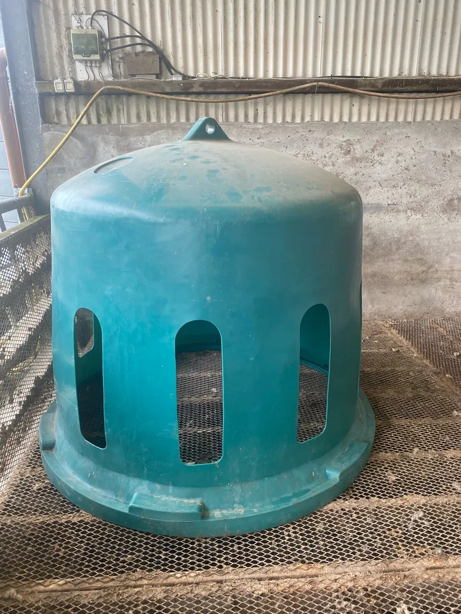 Sheep equipment - Image 1