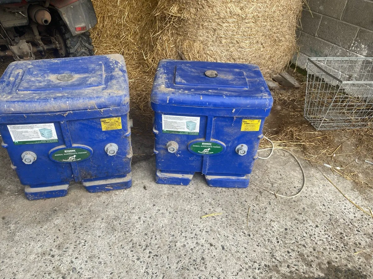 Sheep equipment - Image 2