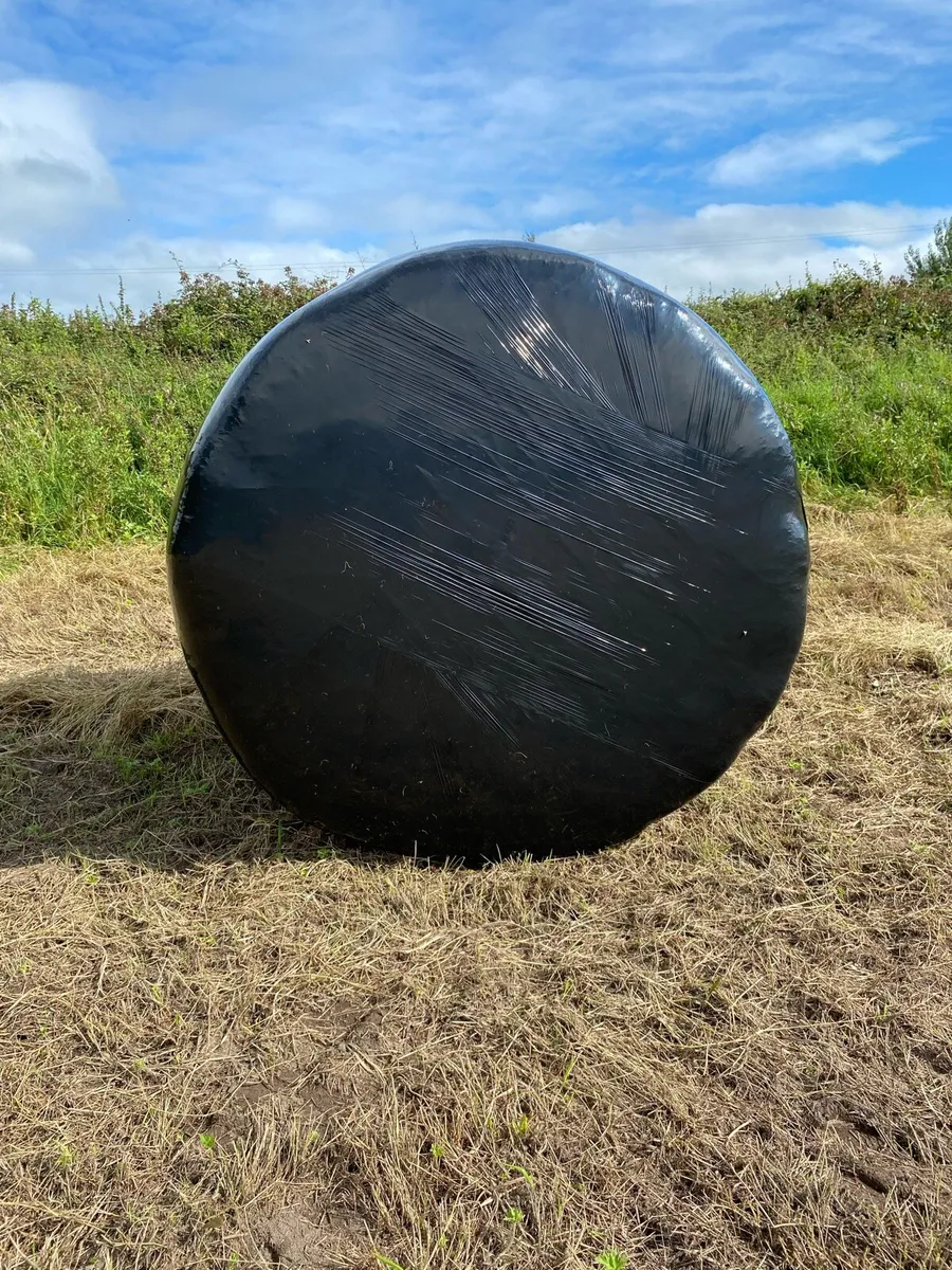 Haylage - Image 1