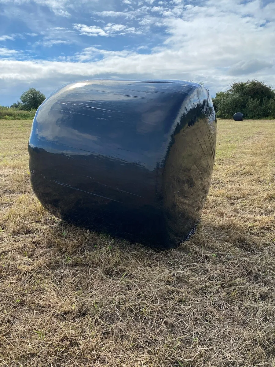 Haylage - Image 2