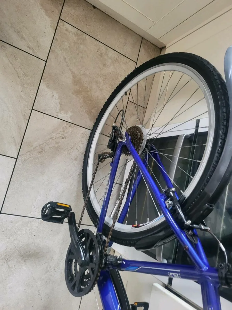 Bike - Image 4