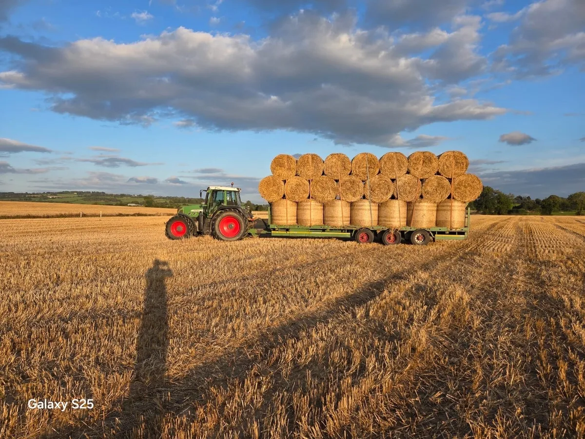 Straw - Image 2