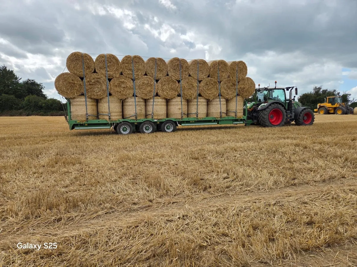 Straw - Image 3