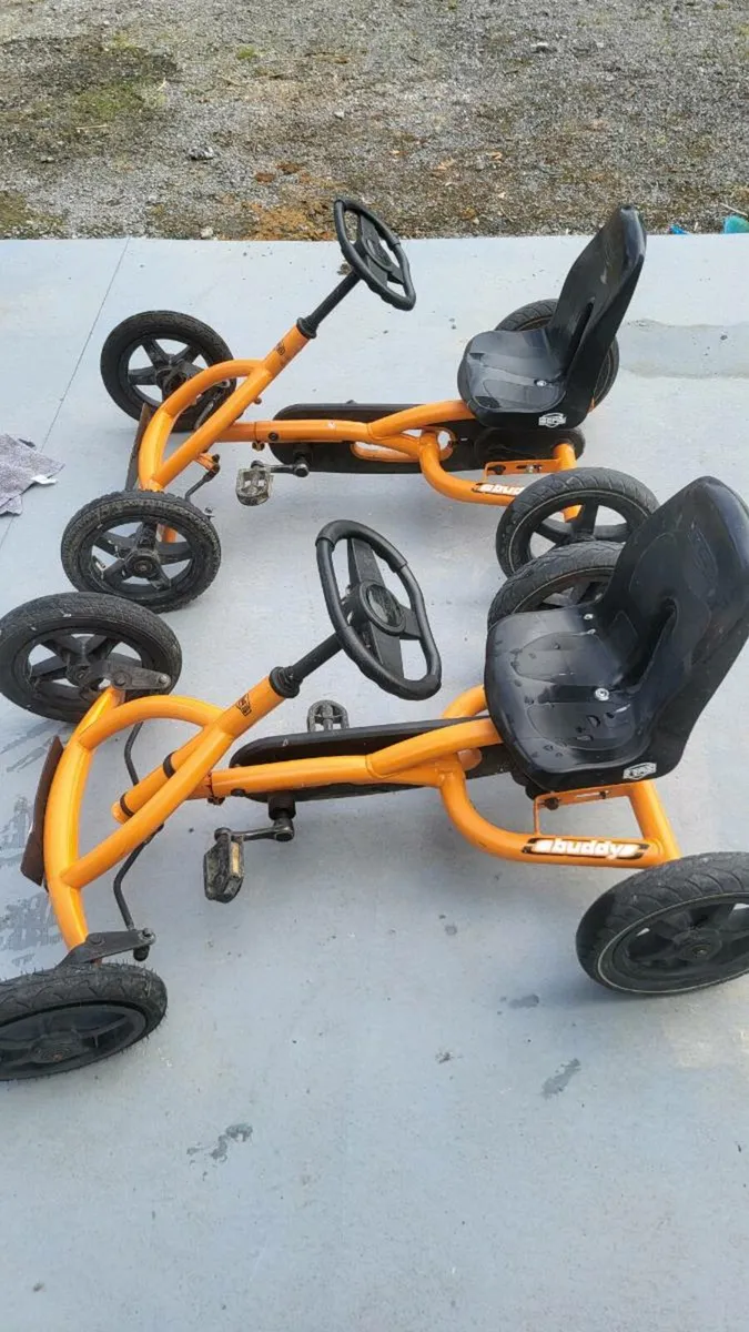 Berg go karts - Image 2