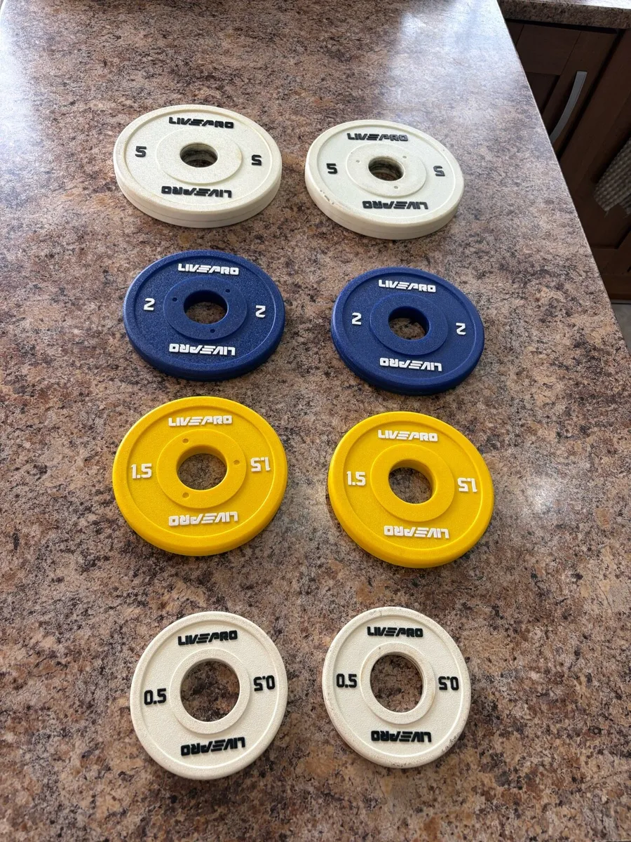 OLYMPIC INCREMENTAL SMALL WEIGHT PLATES..CHEAP!!!