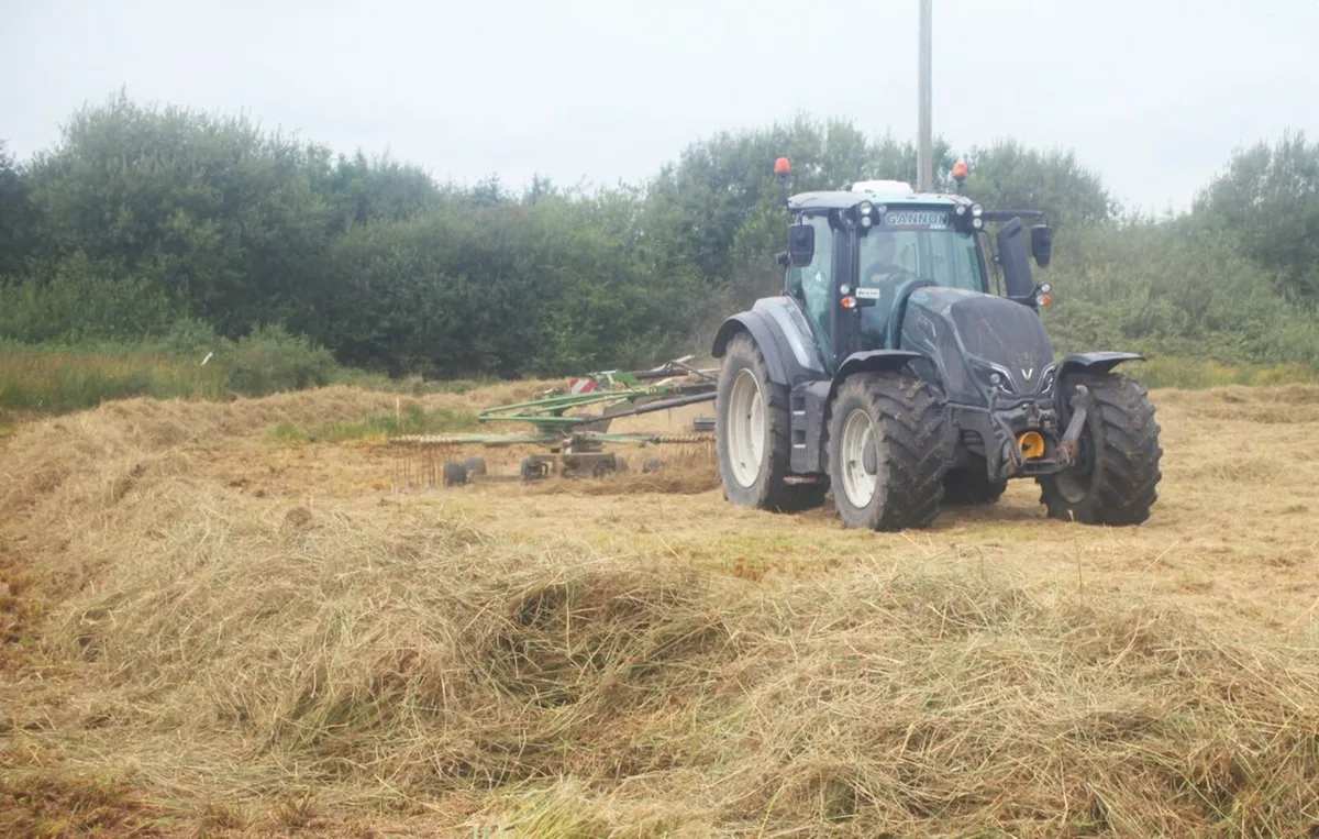 Rushes - Fully dry for Bedding (Organic) - Image 2