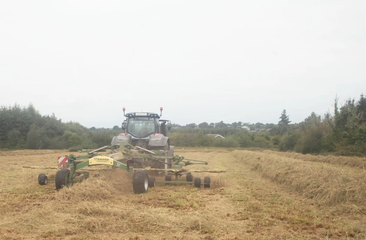 Rushes - Fully dry for Bedding (Organic) - Image 3
