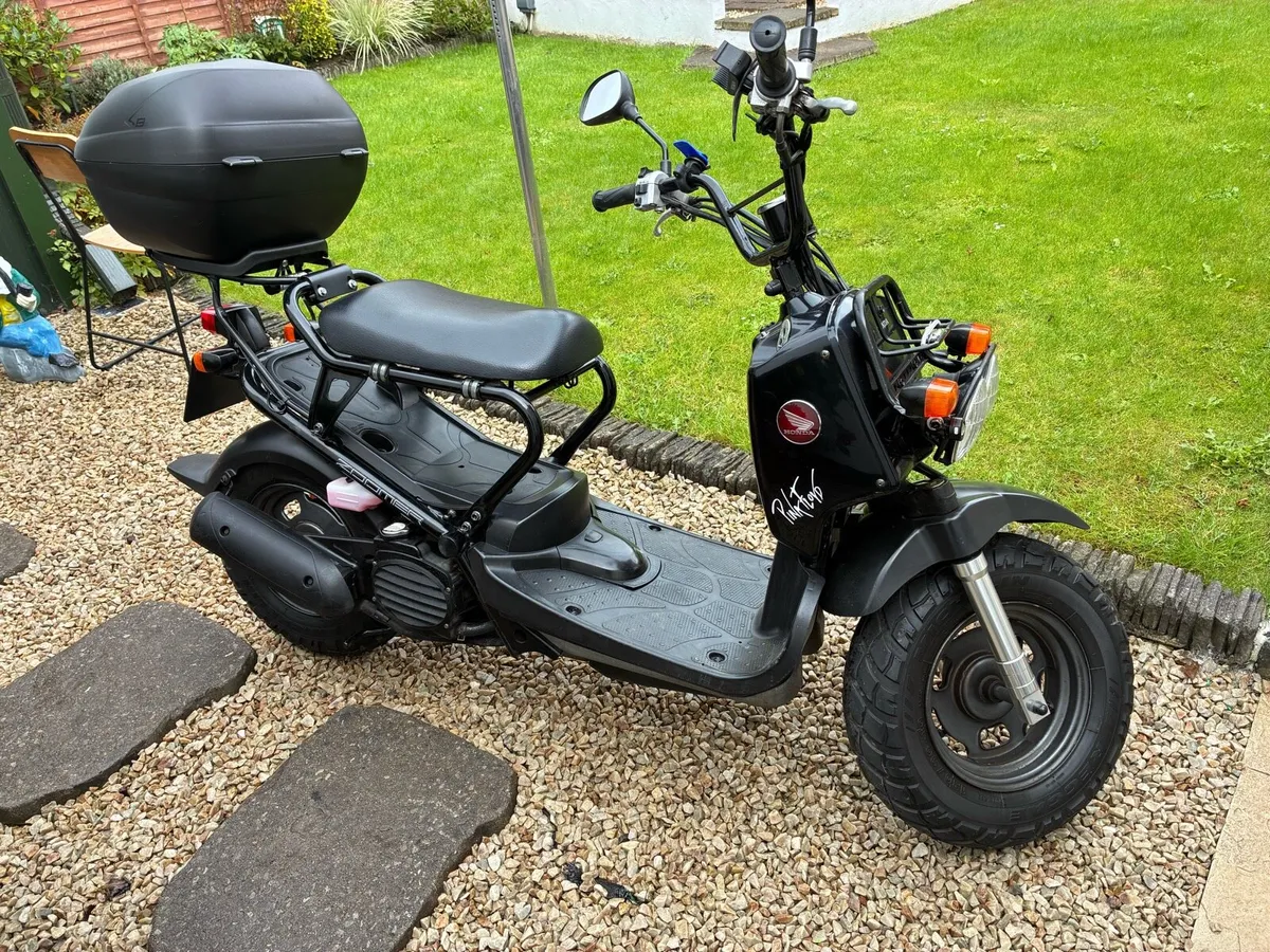 Honda Zoomer - Image 1