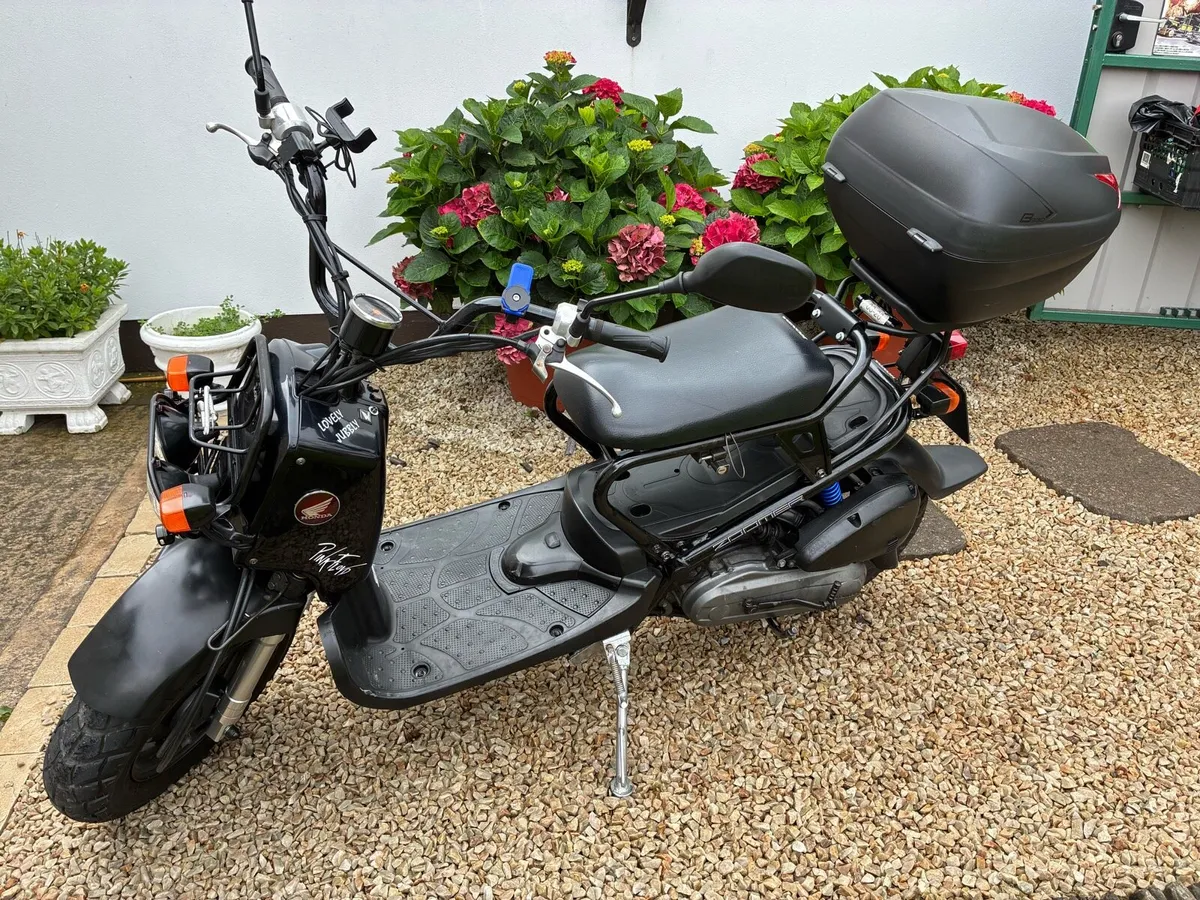 Honda Zoomer - Image 3