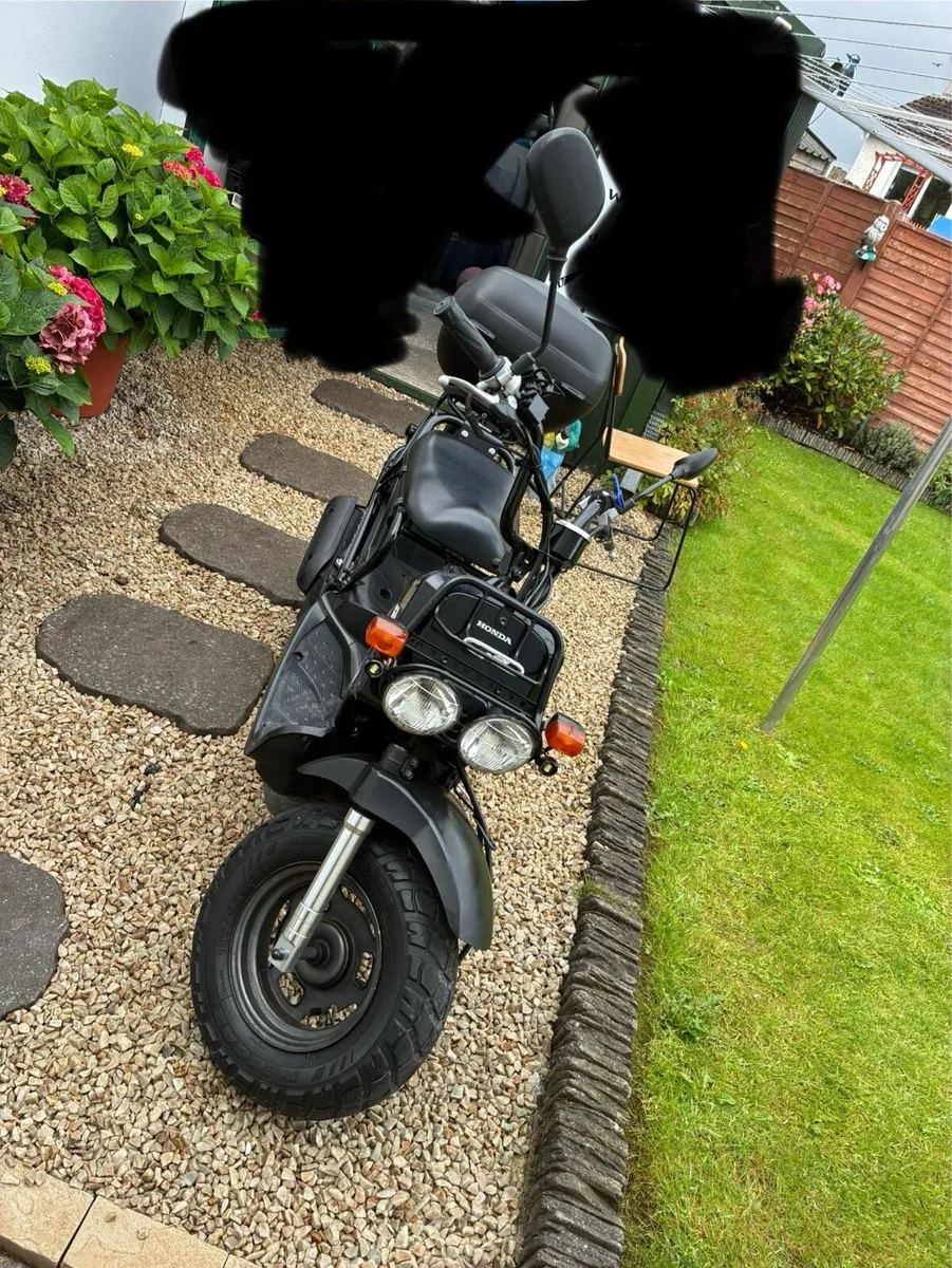 Honda Zoomer - Image 4