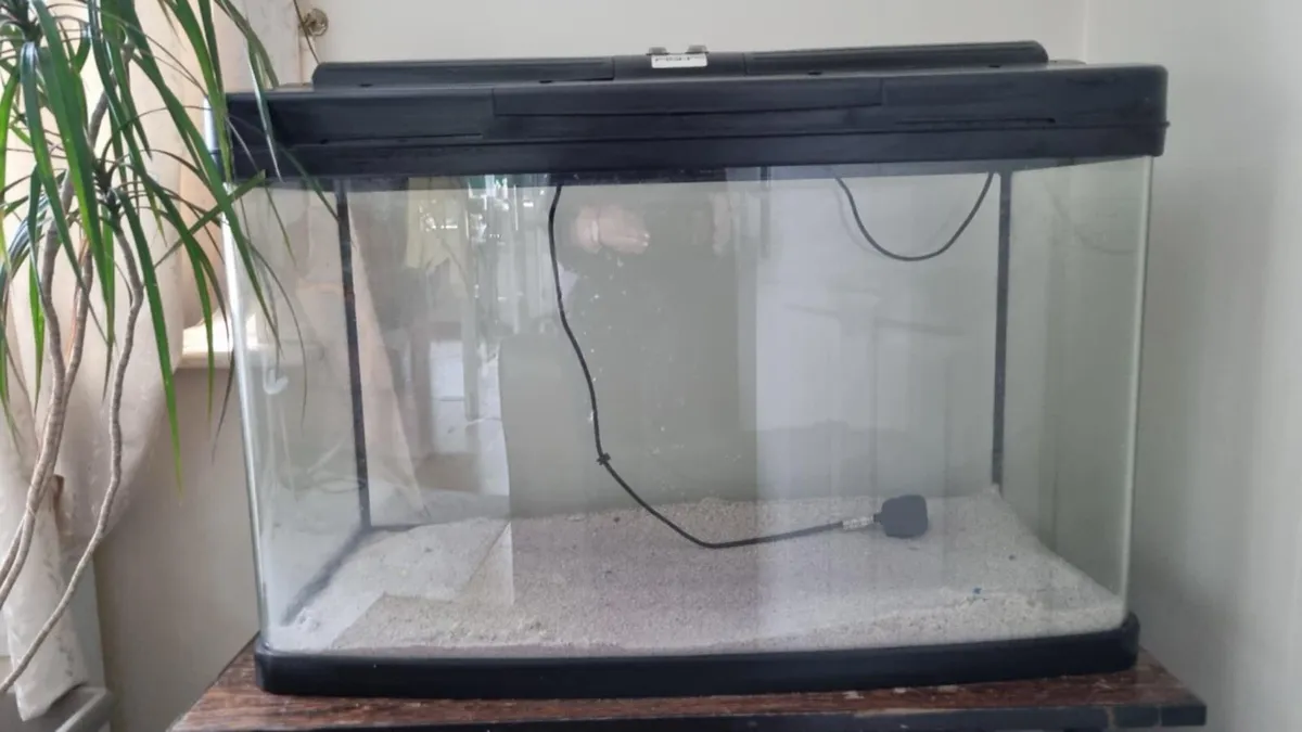Fish tank/aquarium - Image 3