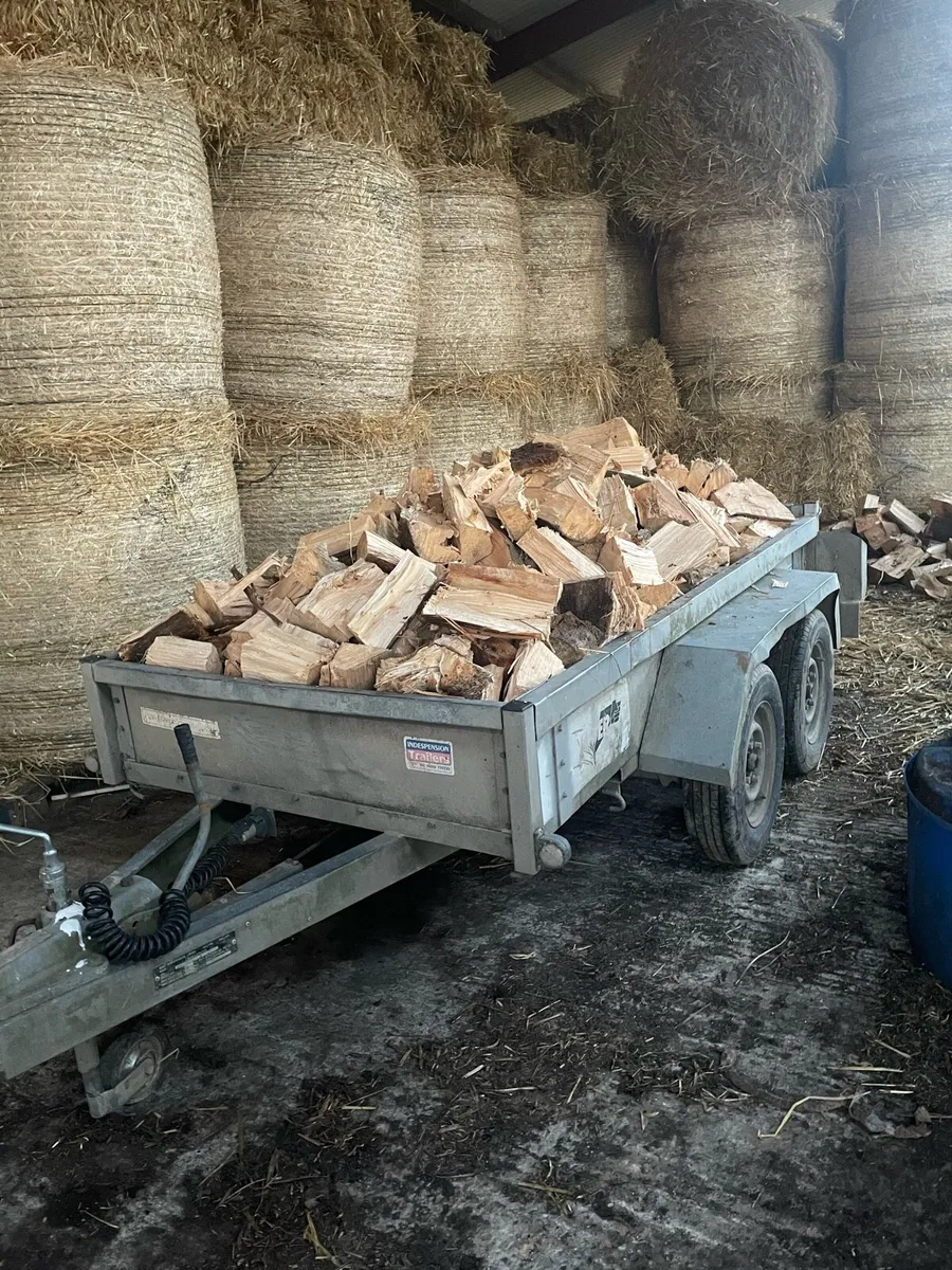 Ash firewood - Image 2