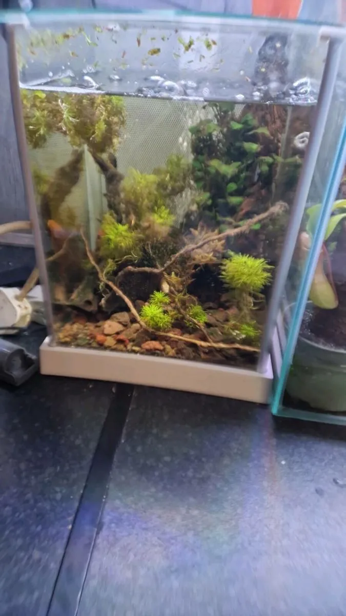 Fish room - Image 3