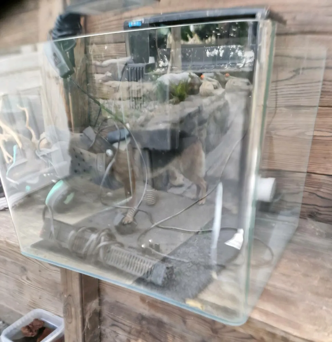 Fish room - Image 4
