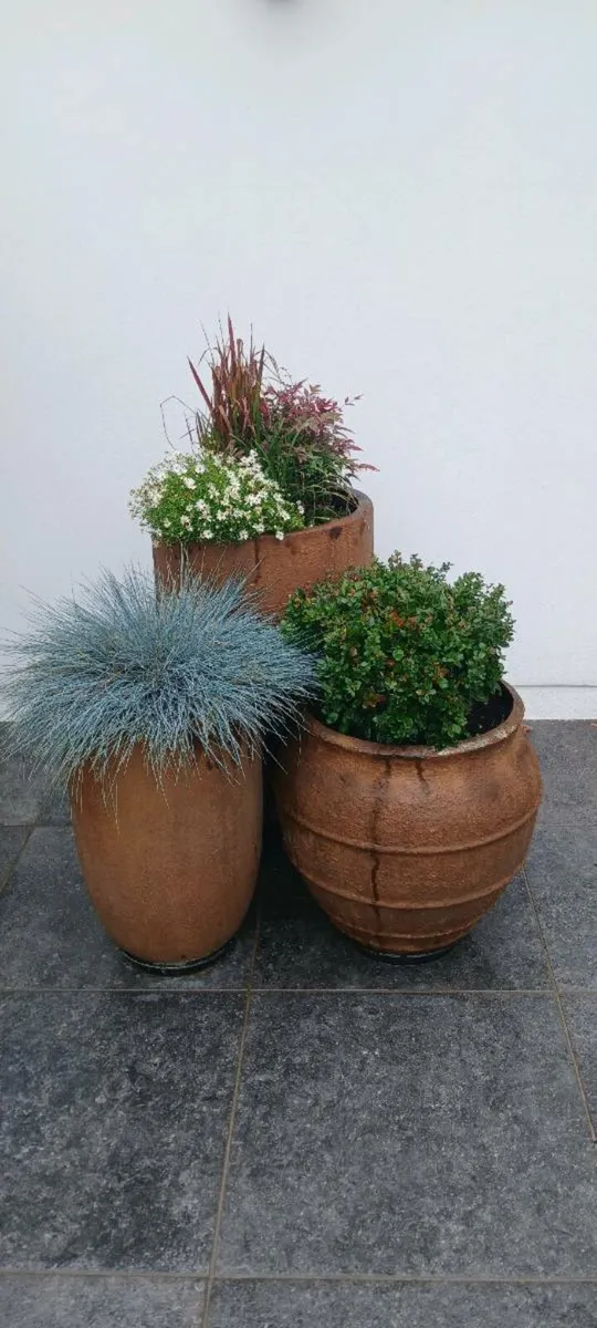 Filled Planter pots - Image 1