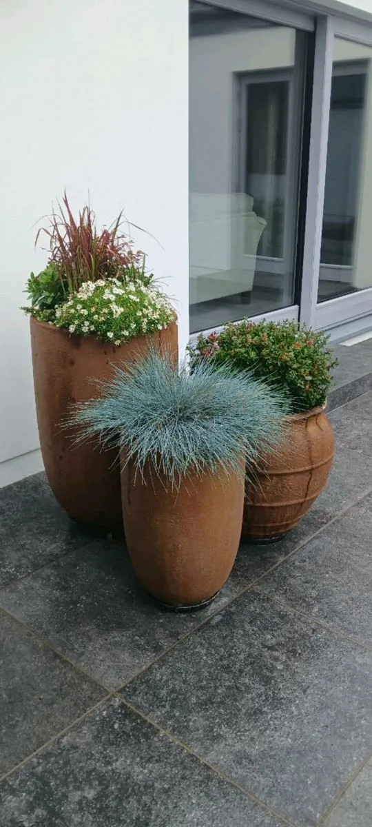 Filled Planter pots - Image 2