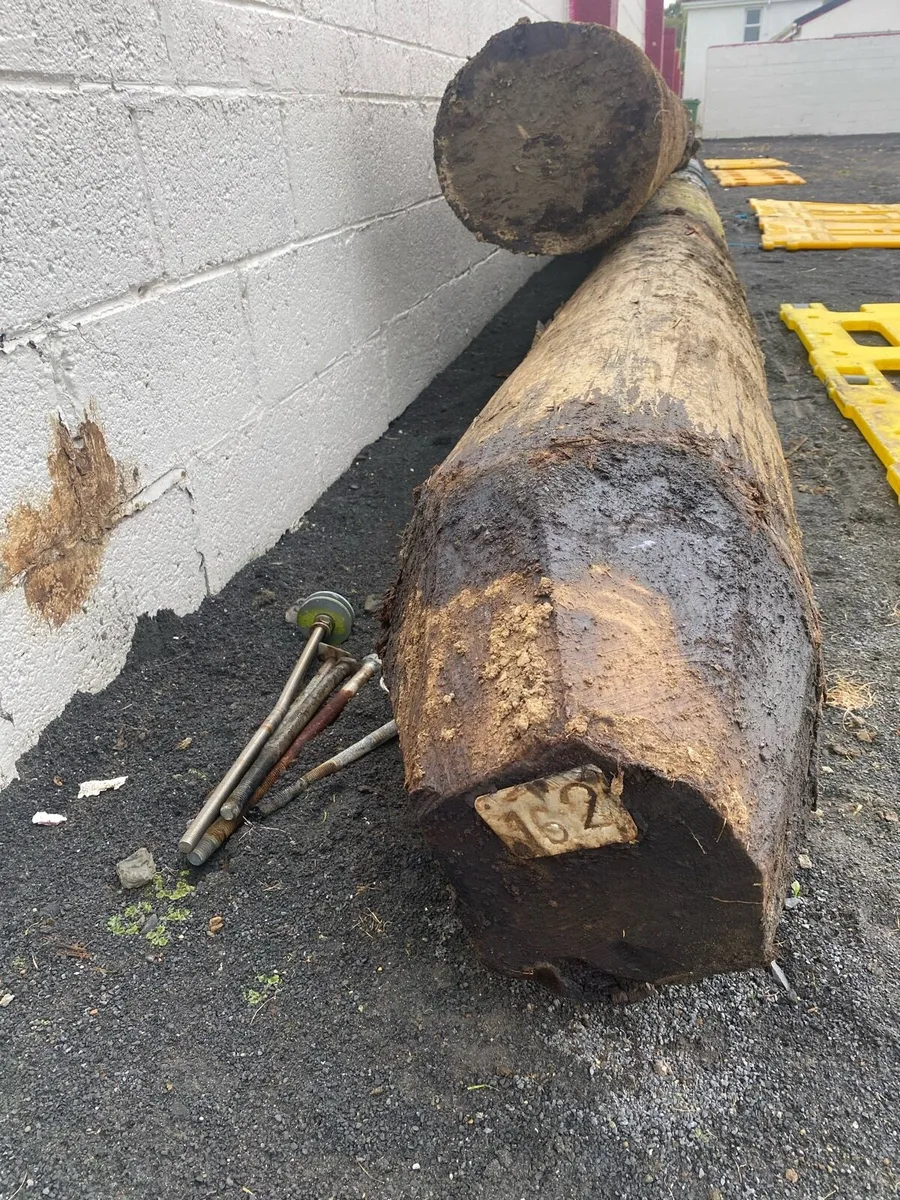 Steel and timber poles - Image 3
