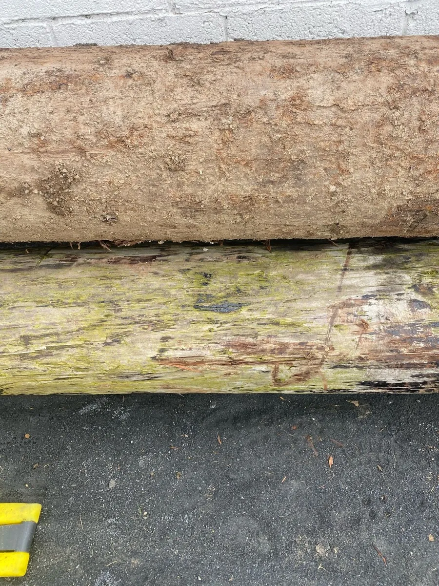Steel and timber poles - Image 4