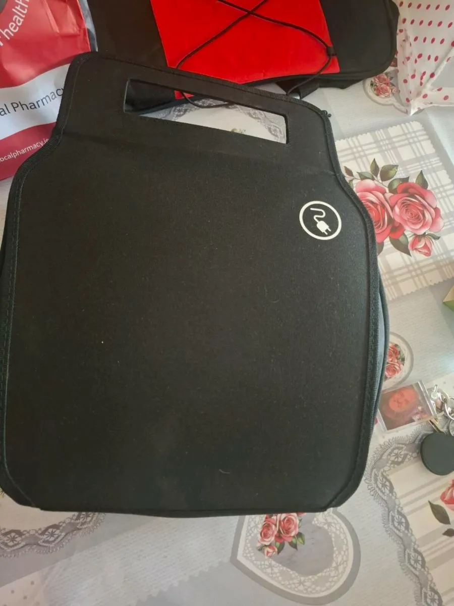 Delphi EV charger - Image 3