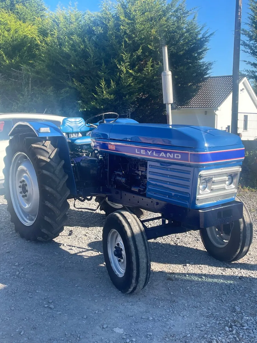 Leyland 384 - Image 1