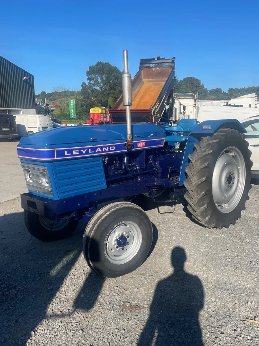 Leyland 384 - Image 3