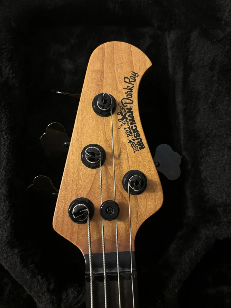 Musicman darkray darkglass - Image 4