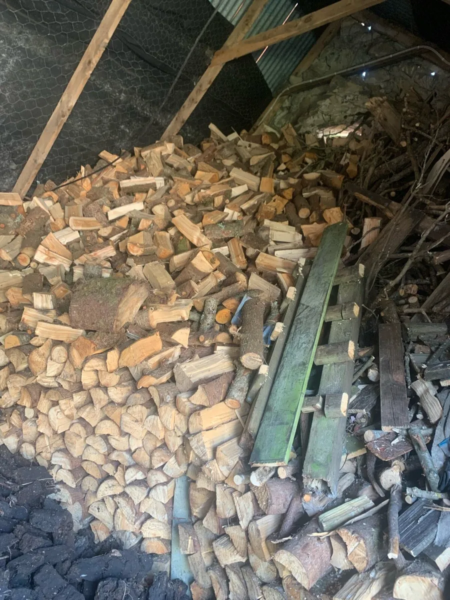 Firewood - Image 3