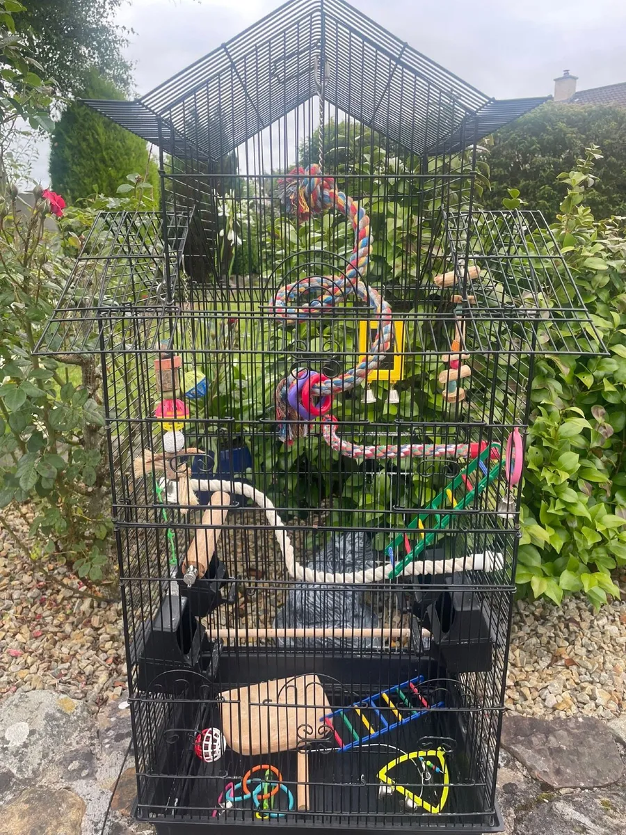 Parrot cage - Image 1