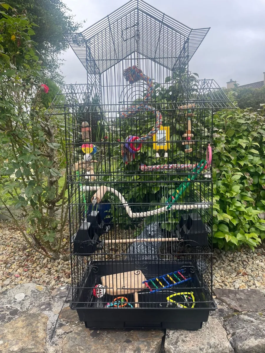 Parrot cage - Image 2