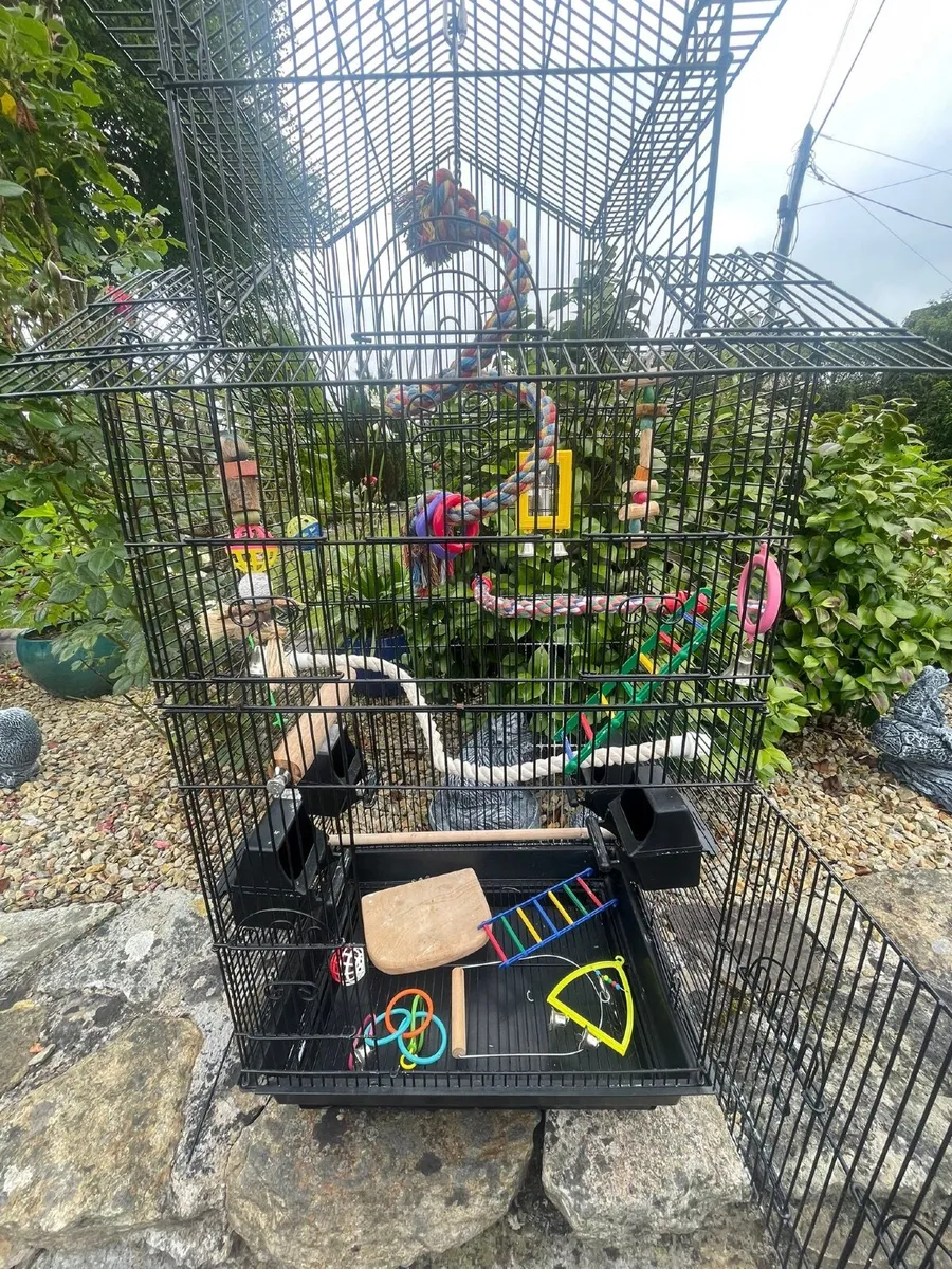 Parrot cage - Image 3
