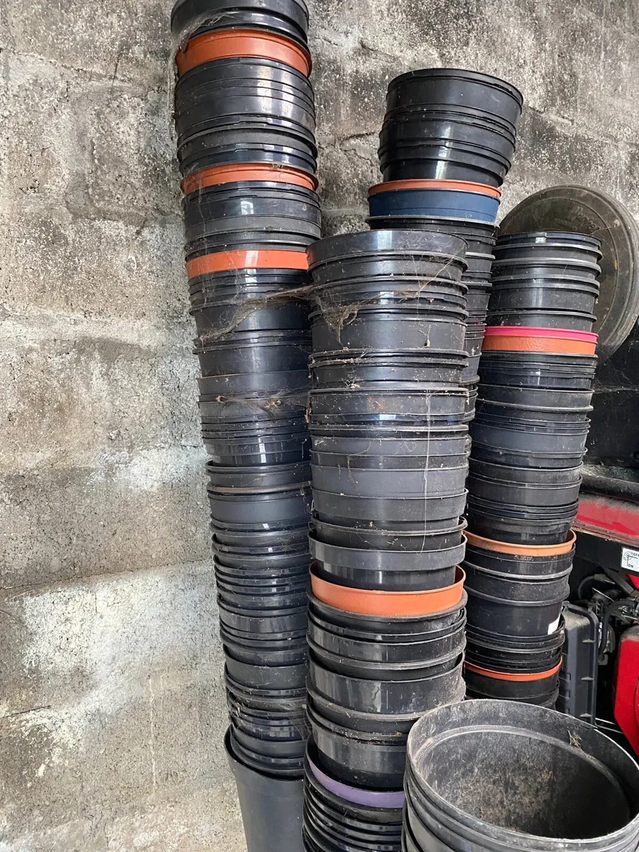 Flower pots & marquee poles FREE - Image 1