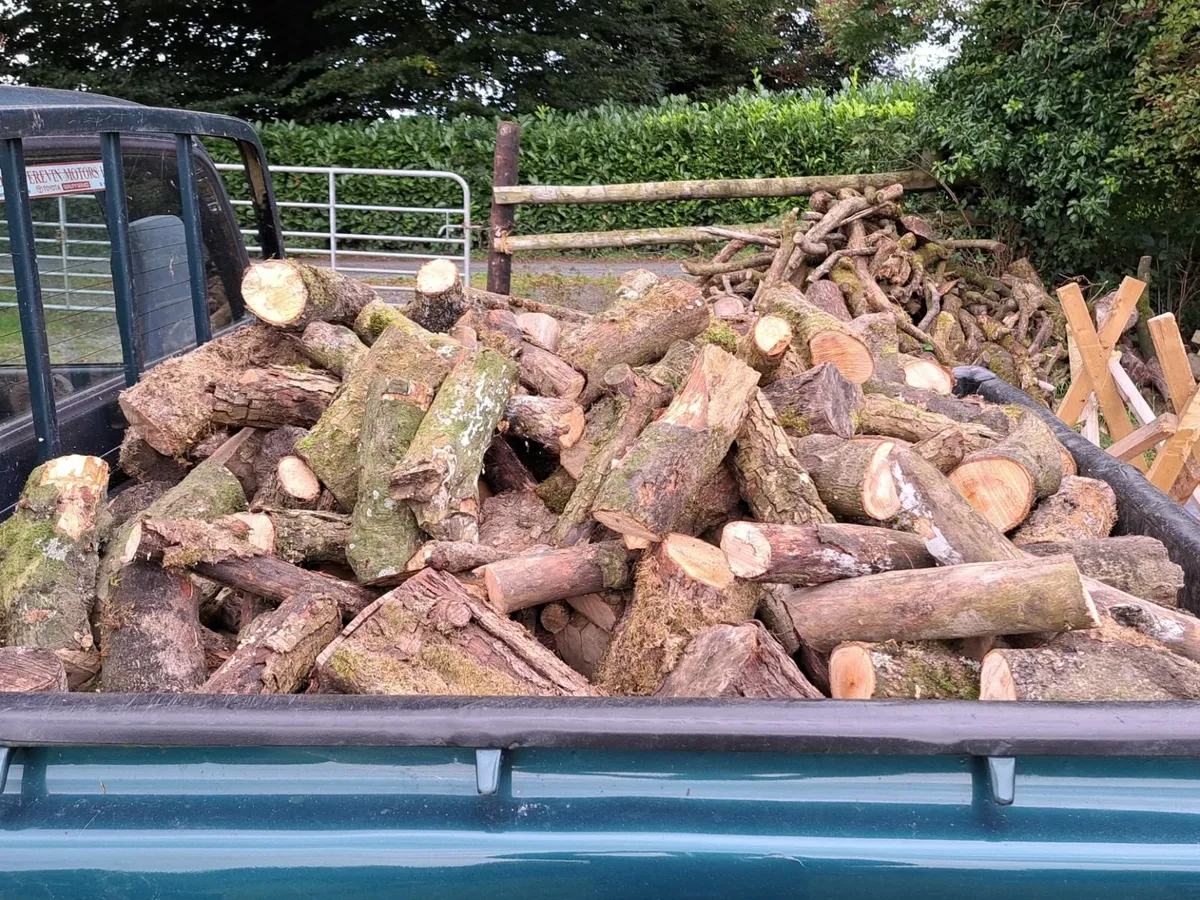 firewood - Image 2