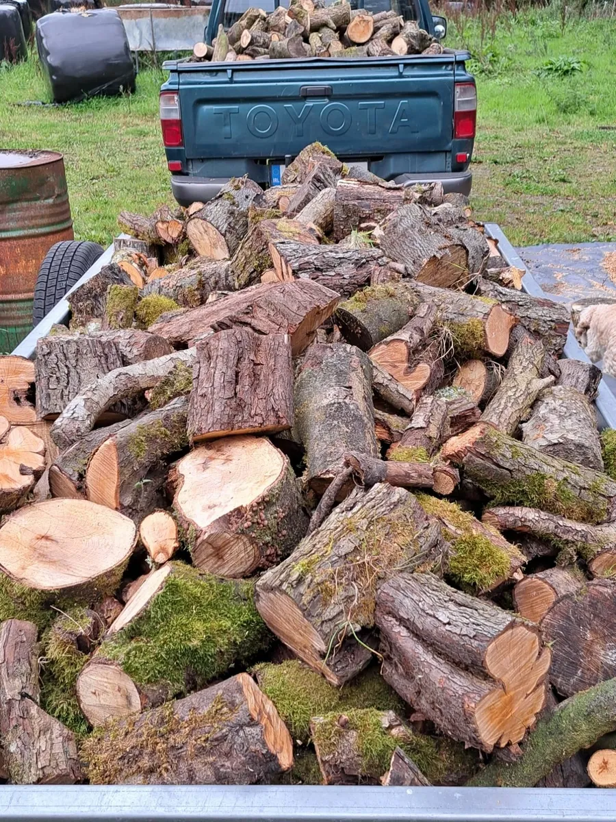 firewood - Image 4