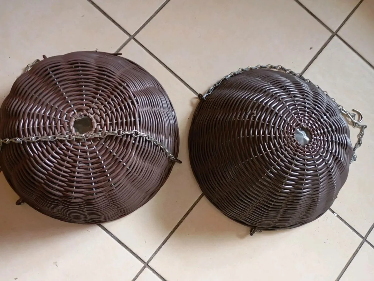 2 new Hanging Baskets - Image 1