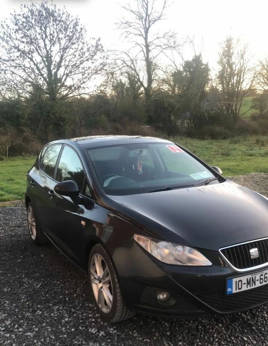 SEAT Ibiza 2010 - Image 1