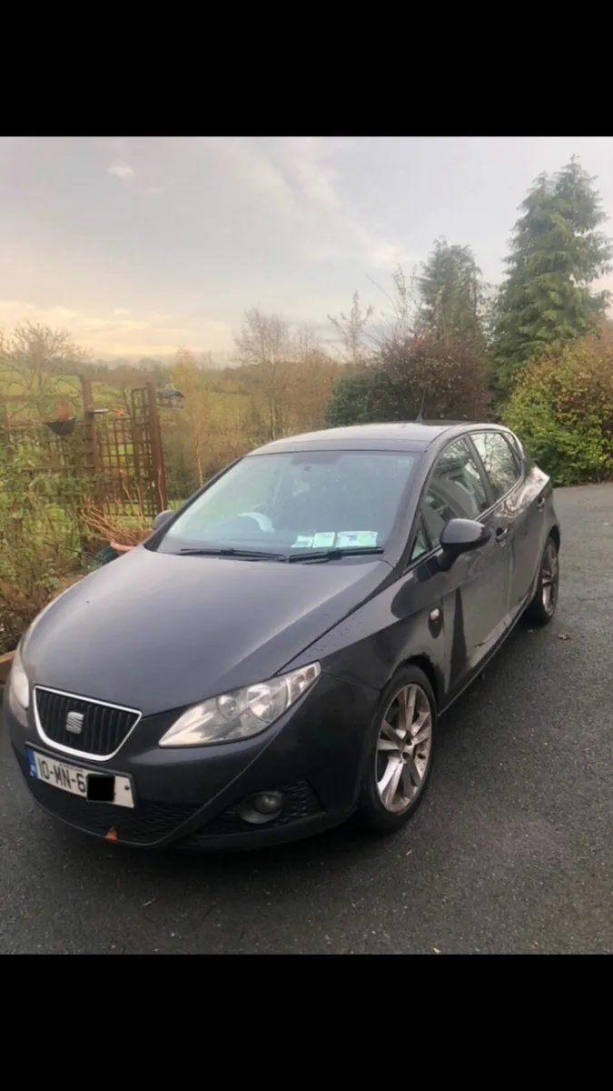 SEAT Ibiza 2010 - Image 2
