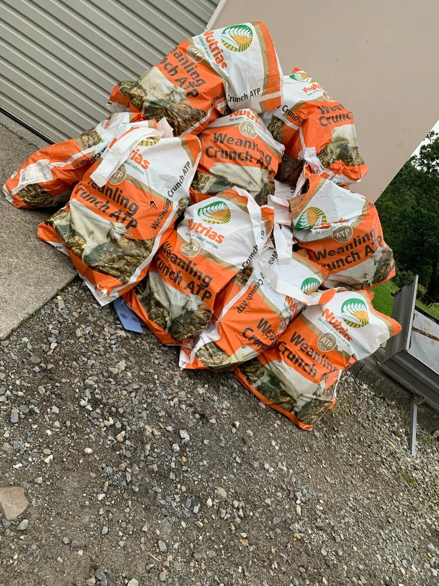 Firewood