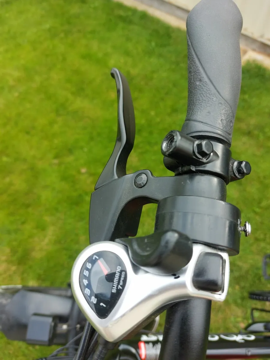 Ebike - Image 4