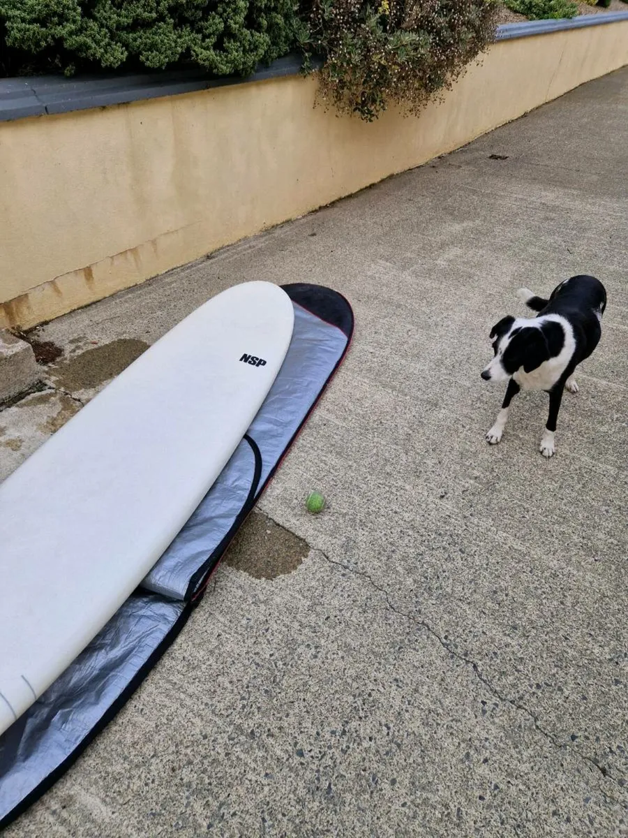 Surfboard - Image 2