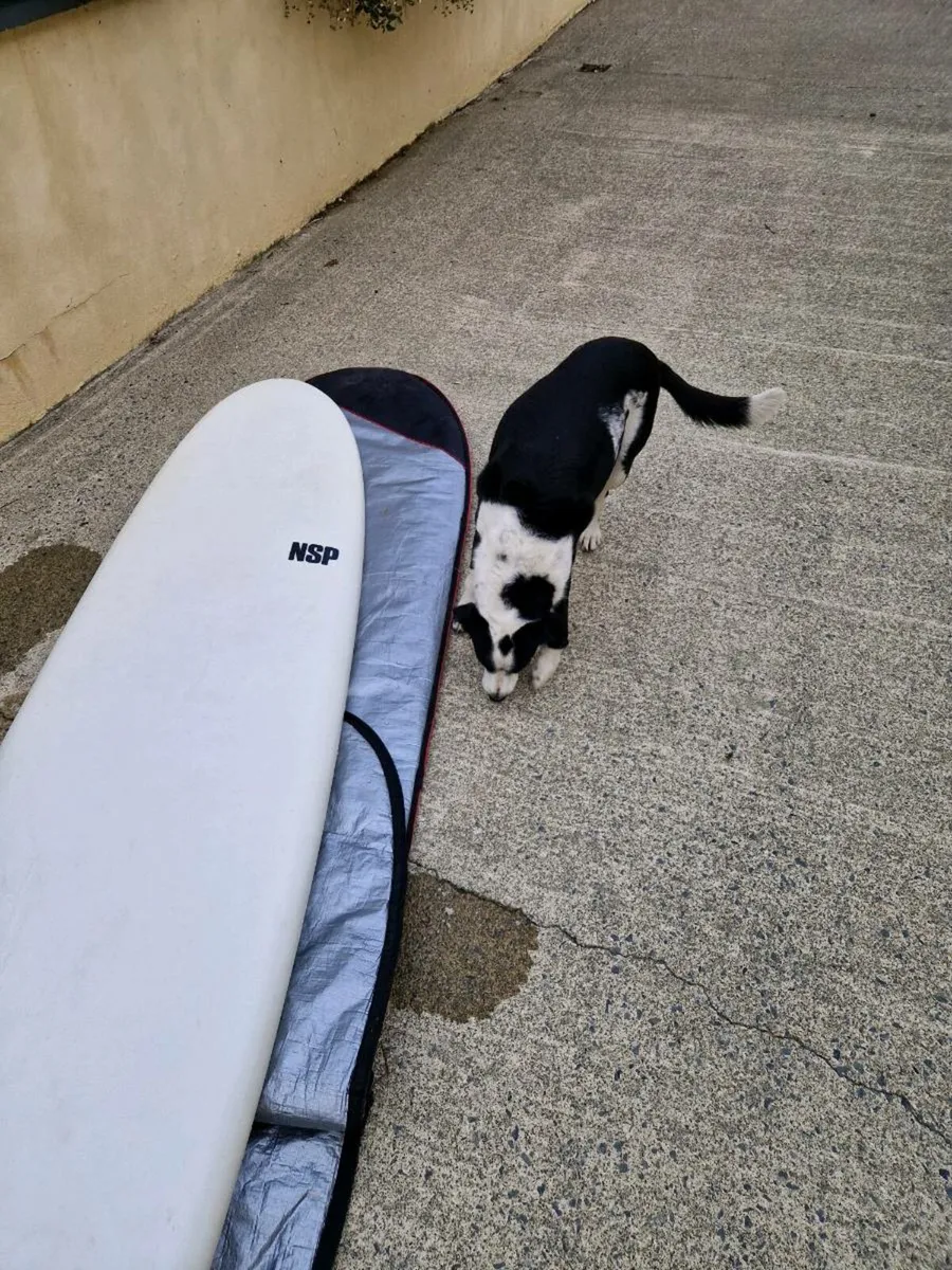 Surfboard - Image 3