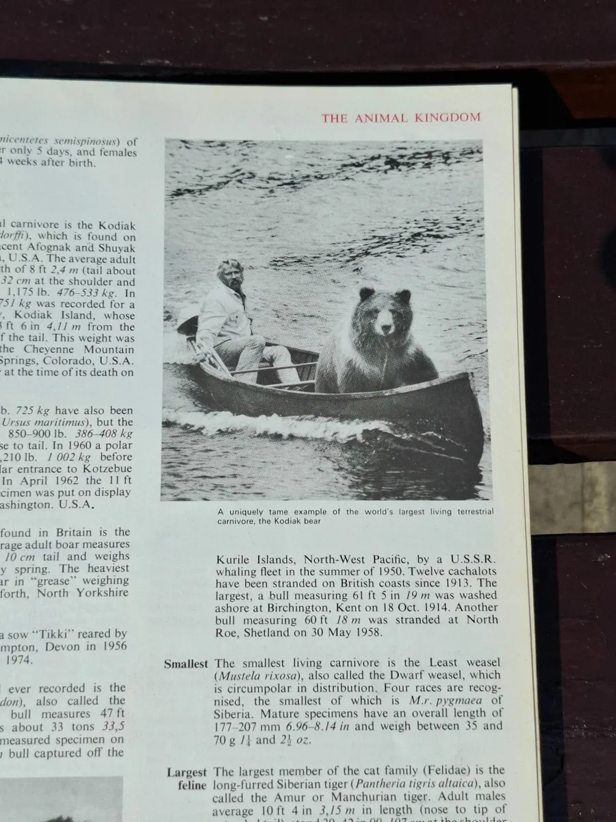 Guinness Book of Records (1974 edition) Hardback - Image 4