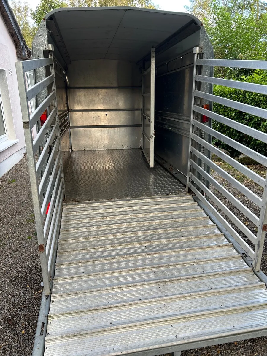 Ifor William Livestock Trailer - Image 1