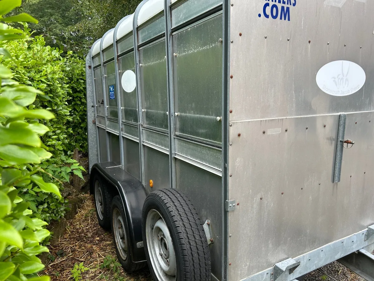 Ifor William Livestock Trailer - Image 3