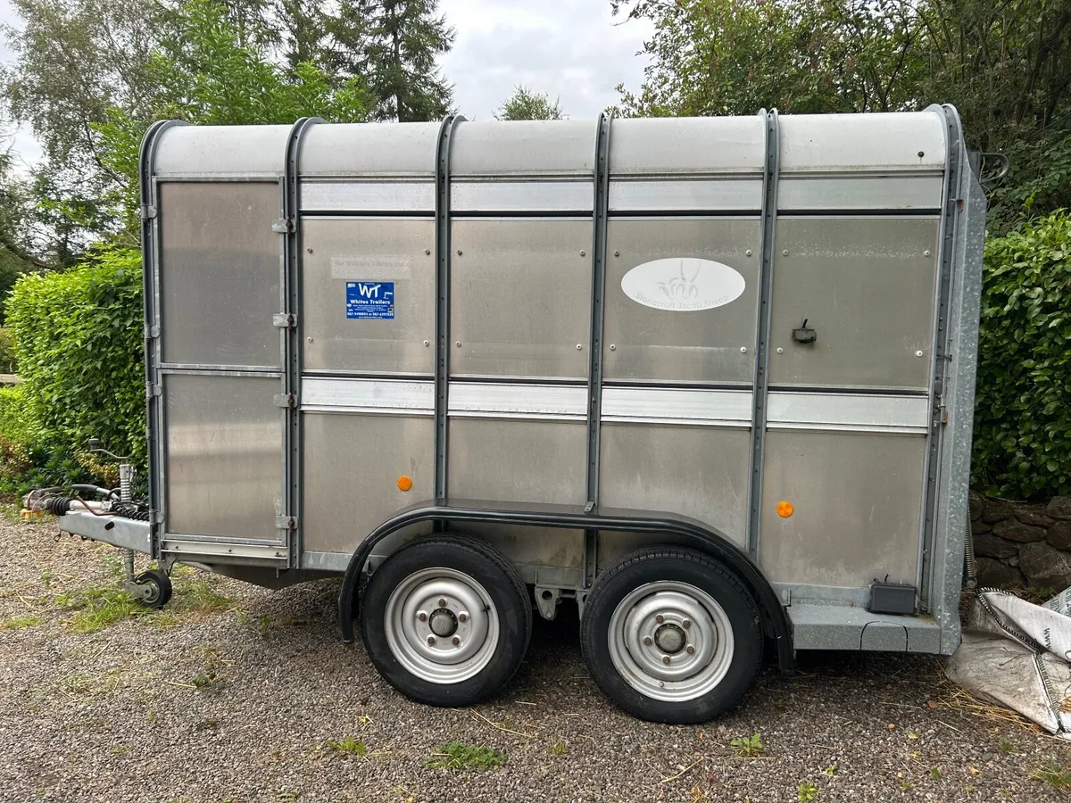 Ifor William Livestock Trailer - Image 4