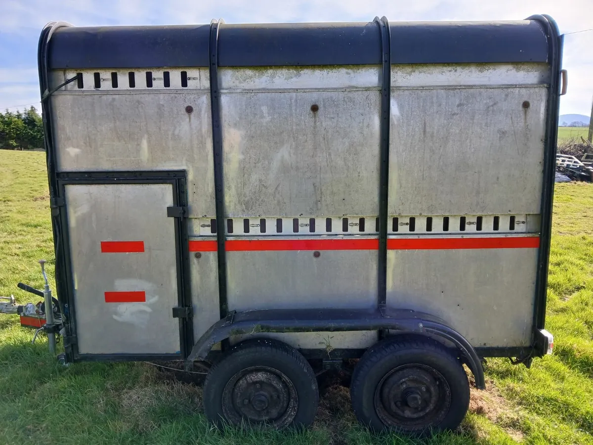 Cattle trailer - Image 2