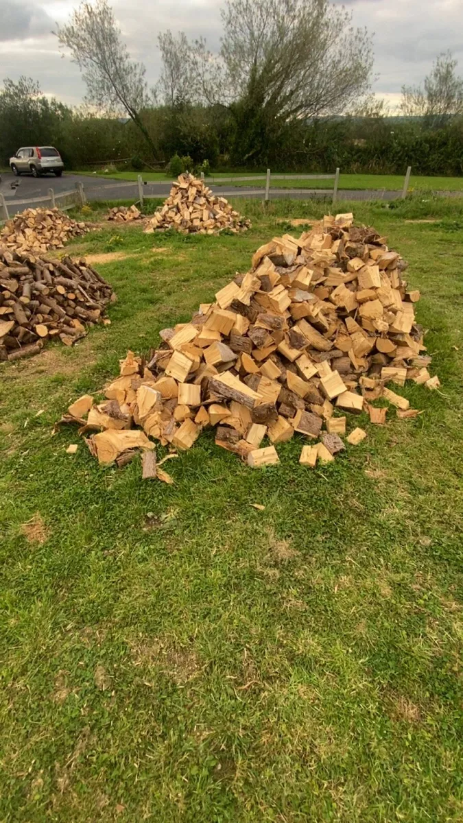 Seasoned firewood - Image 1