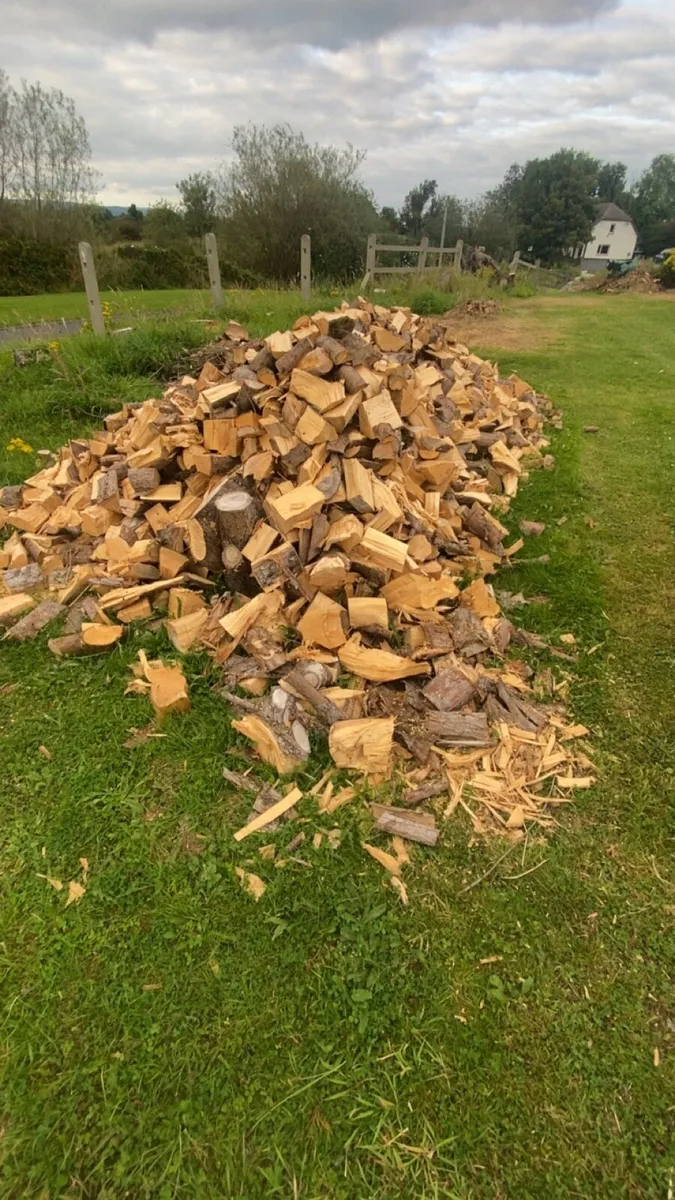 Seasoned firewood - Image 2