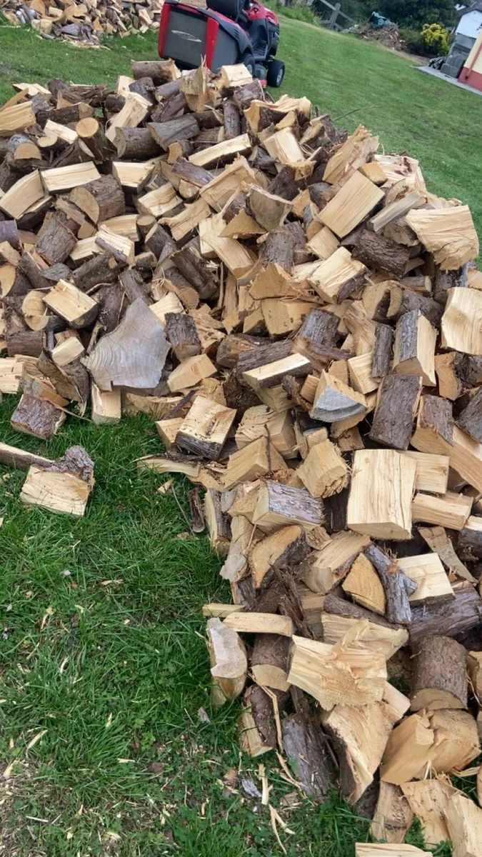 Seasoned firewood - Image 3