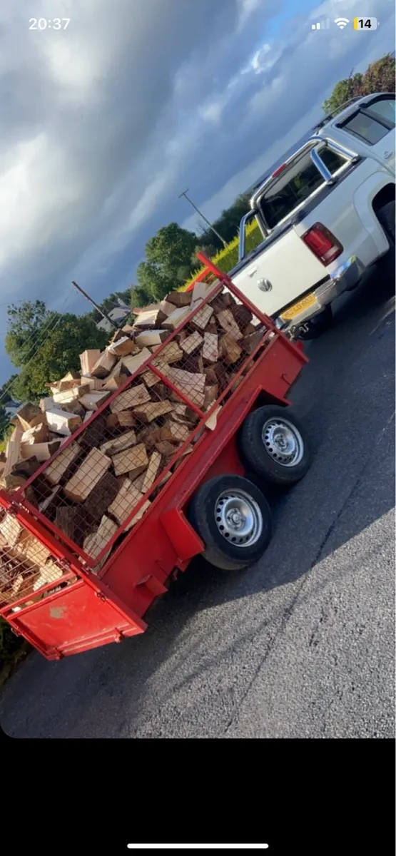 Seasoned firewood - Image 4