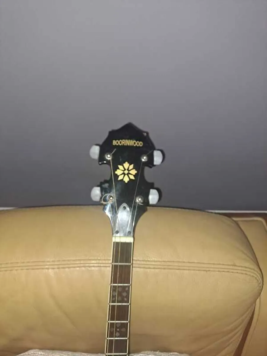 Irish Tenor Banjo for sale - Image 1